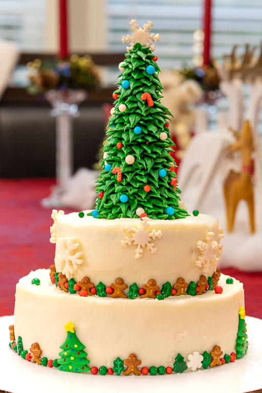 sa_20221207_B-Day_Chrismas_Cake_001.jpg